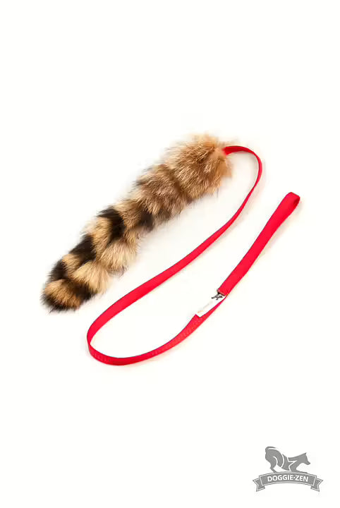 Raccoon Chaser