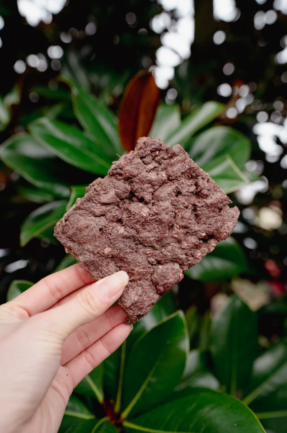 MUSKRAT | Freeze-Dried Dog + Cat Treat