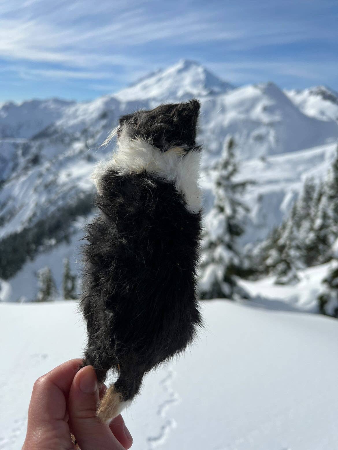 Whole Prey Rabbit Fuzzies - Limited Edition