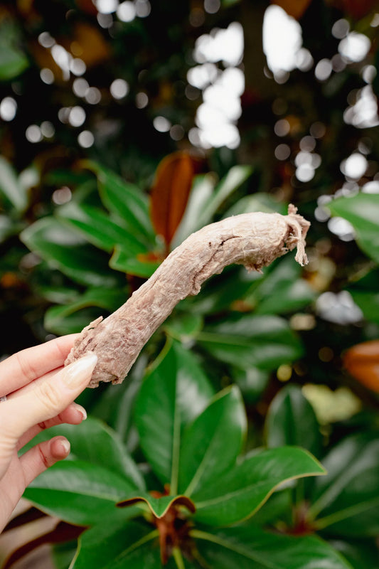 DUCK NECK | Freeze-Dried Dog + Cat Treat - Niuniu's Pet Shop