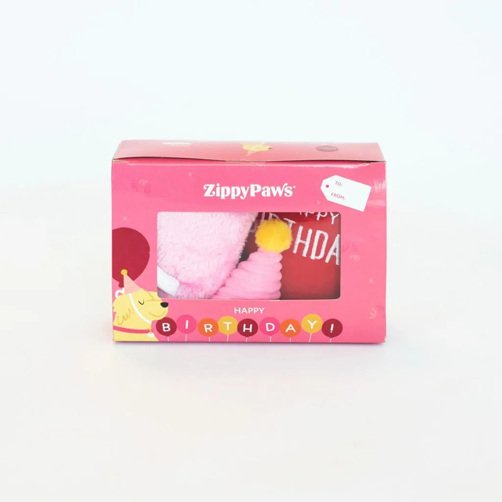 Pup Birthday Box Pink