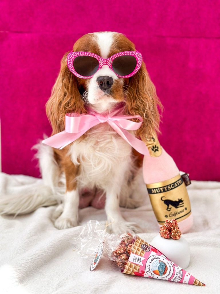 Pink Kisses - Turkey & Tuna Dog Treats image 3