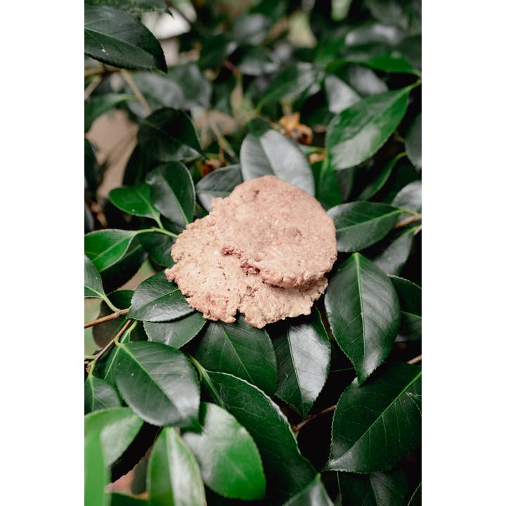 Butchered Ground Rabbit | Freeze-Dried Dog + Cat Treat image 0