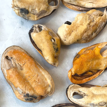 Gourmate Organic Green Lipped Mussels | 100% Mussel Treat - Niuniu's Pet Shop