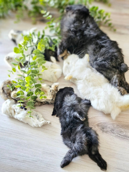 Whole Prey Rabbit Fuzzies - Limited Edition