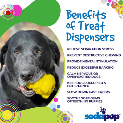 Honey Bear eDispenser - Durable Rubber Treat Dispenser for Dogs | USA Made