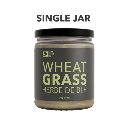 Organic Wheatgrass - Nutrient-Rich Dog Supplement