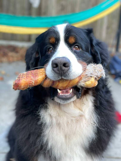 Rabbit Rawhides (Baguettes, Braids & Twists)