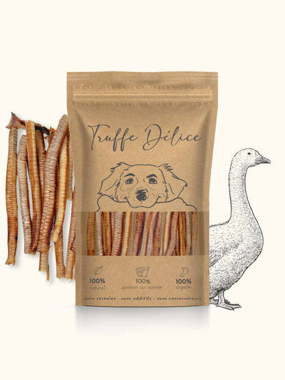Goose tracheas