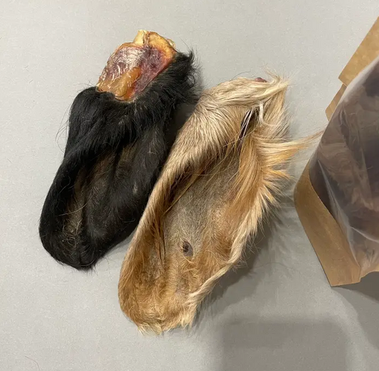Beef Ears with Fur, Natural Dog Treat