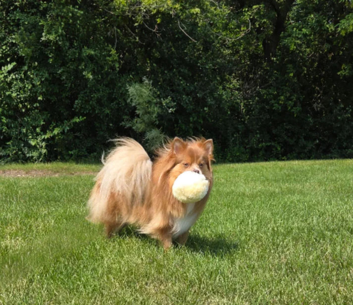 FurBul – The All-Natural Snuggle Ball for Dogs