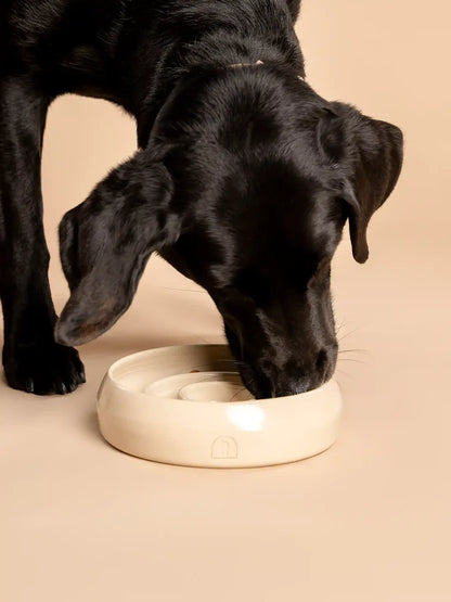 Handmade Ceramic Slow Feeder Bowl