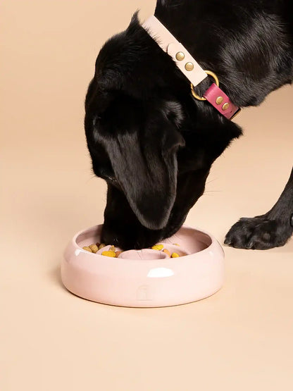 Handmade Ceramic Slow Feeder Bowl