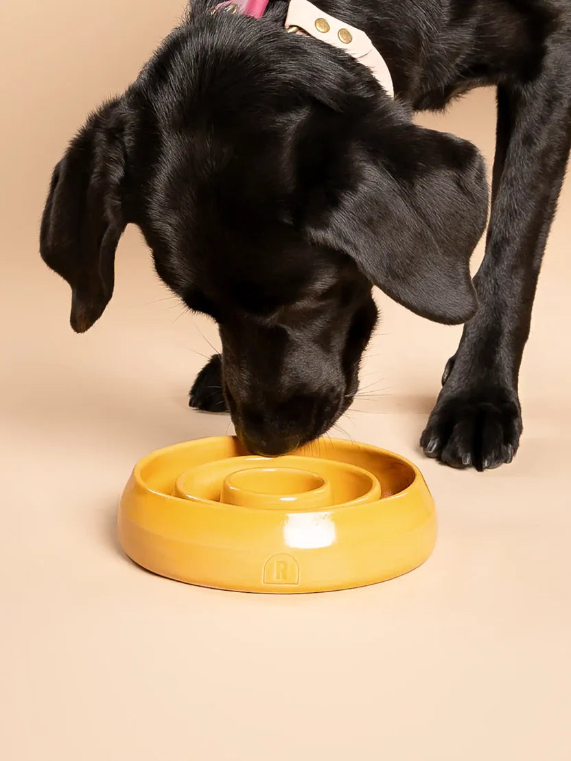 Handmade Ceramic Slow Feeder Bowl