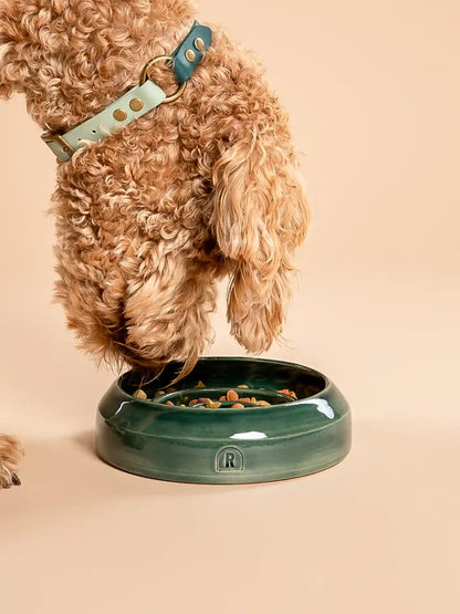 Handmade Ceramic Slow Feeder Bowl