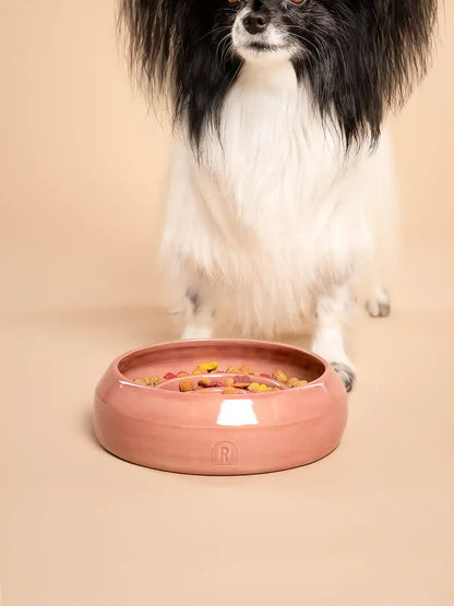 Handmade Ceramic Slow Feeder Bowl