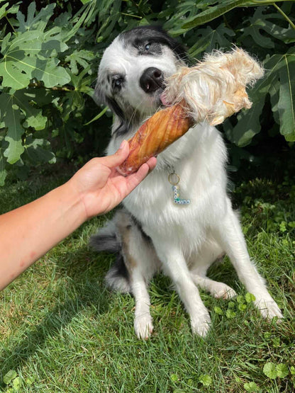 Rabbit Rawhides (Baguettes, Braids & Twists)