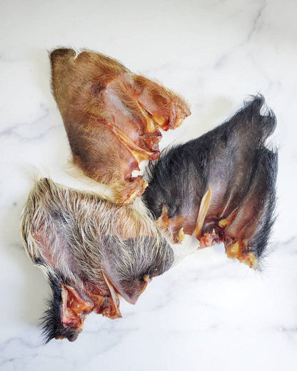 Pig Ear (Hairy)
