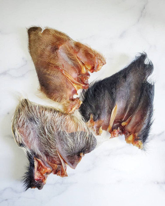 Pig Ear (Hairy)