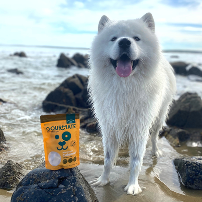 Gourmate Wild Caught Calamari | 100% Squid Treat - Niuniu's Pet Shop