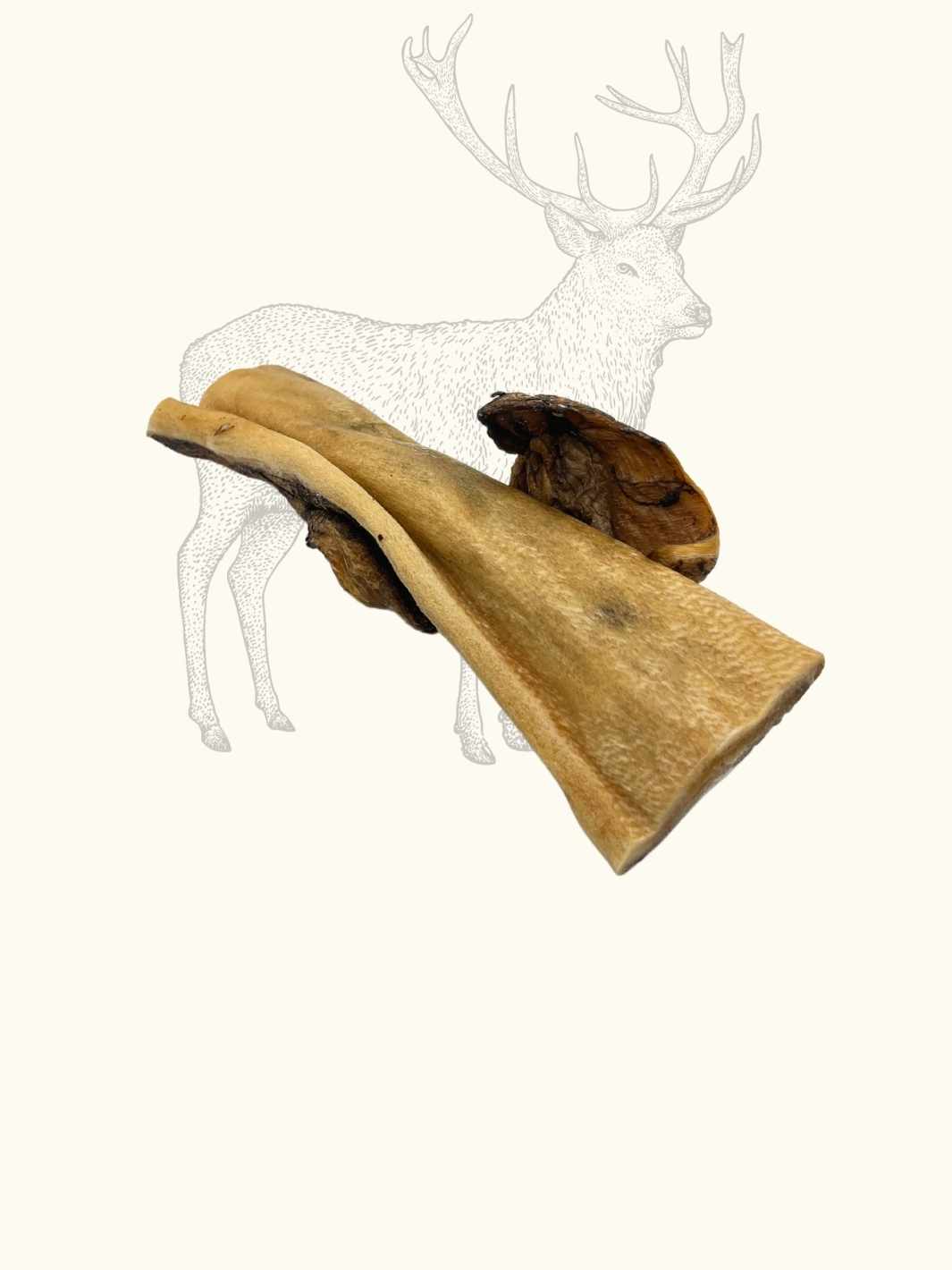 Deer skins