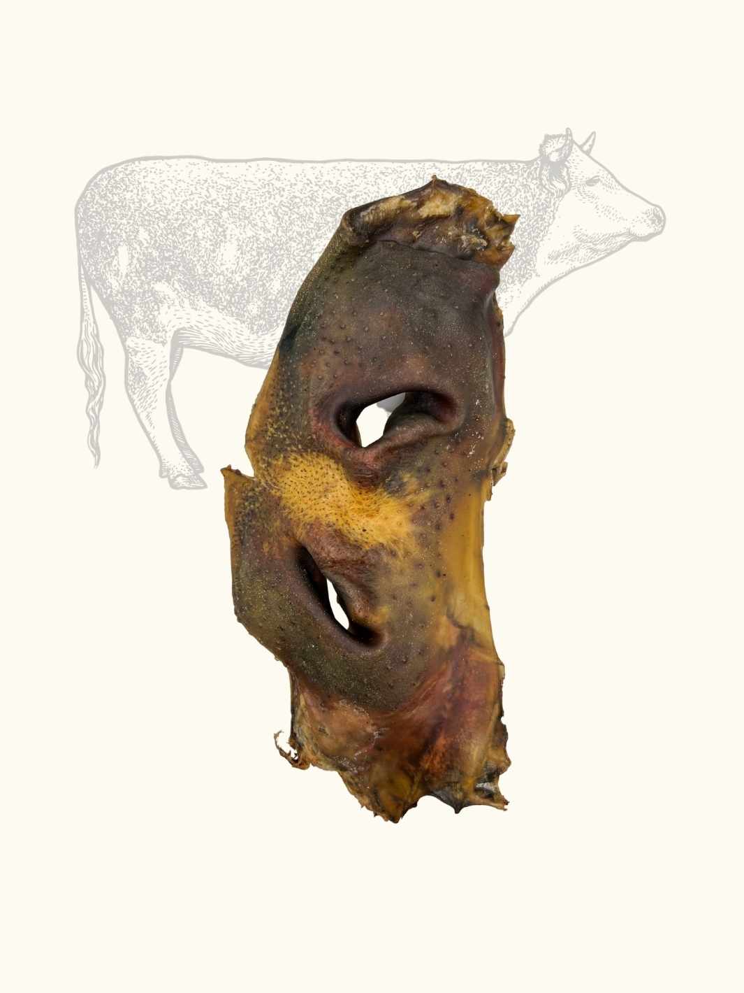 Beef snouts