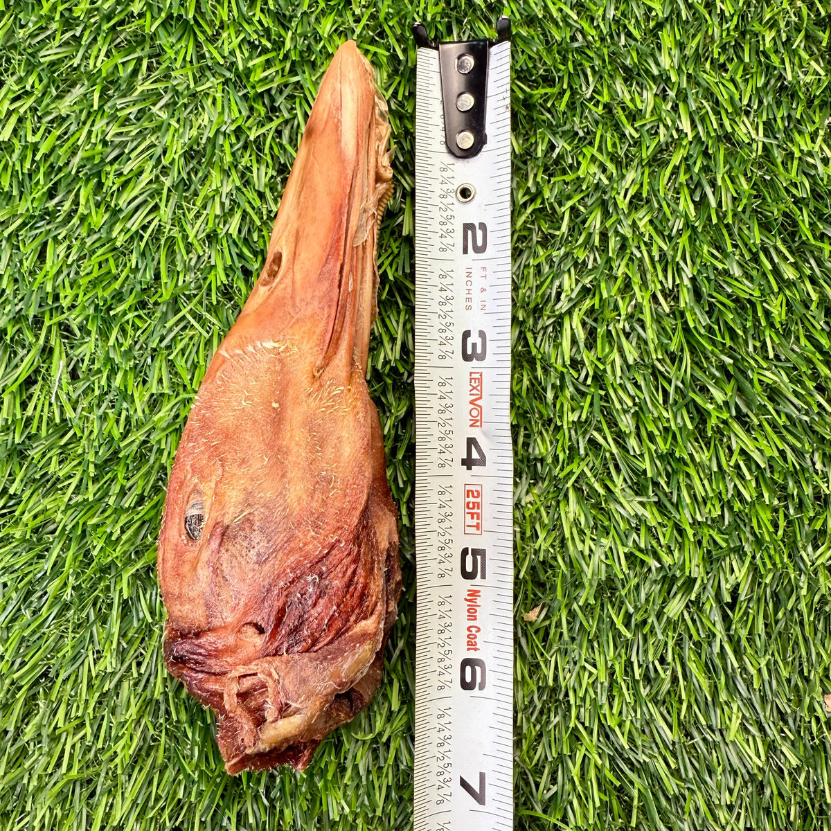 Duck Head- Bag of 5 - Freeze-Dried Treat/Chew for Dogs