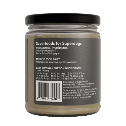 Organic Wheatgrass - Nutrient-Rich Dog Supplement