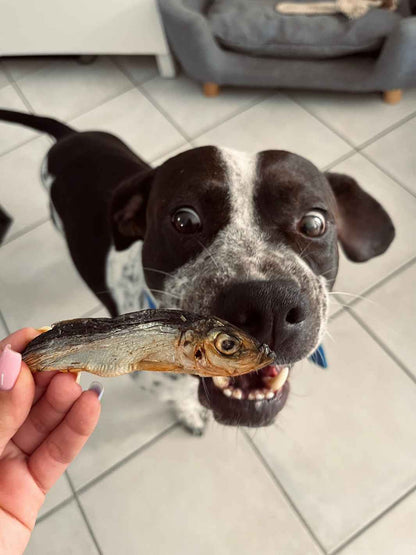 Dried sprats