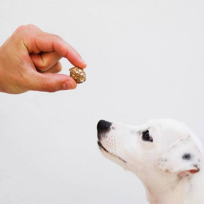 Beijinhos - Crunchy & Natural Pork-Sardine Treats For Dogs - Niuniu's Pet Shop