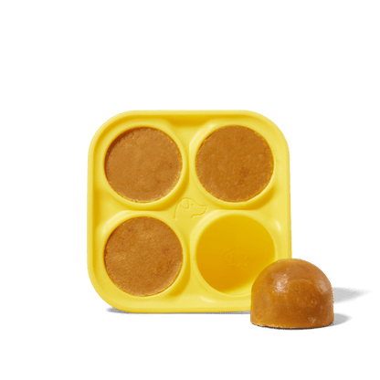 Pupsicle Treat Tray