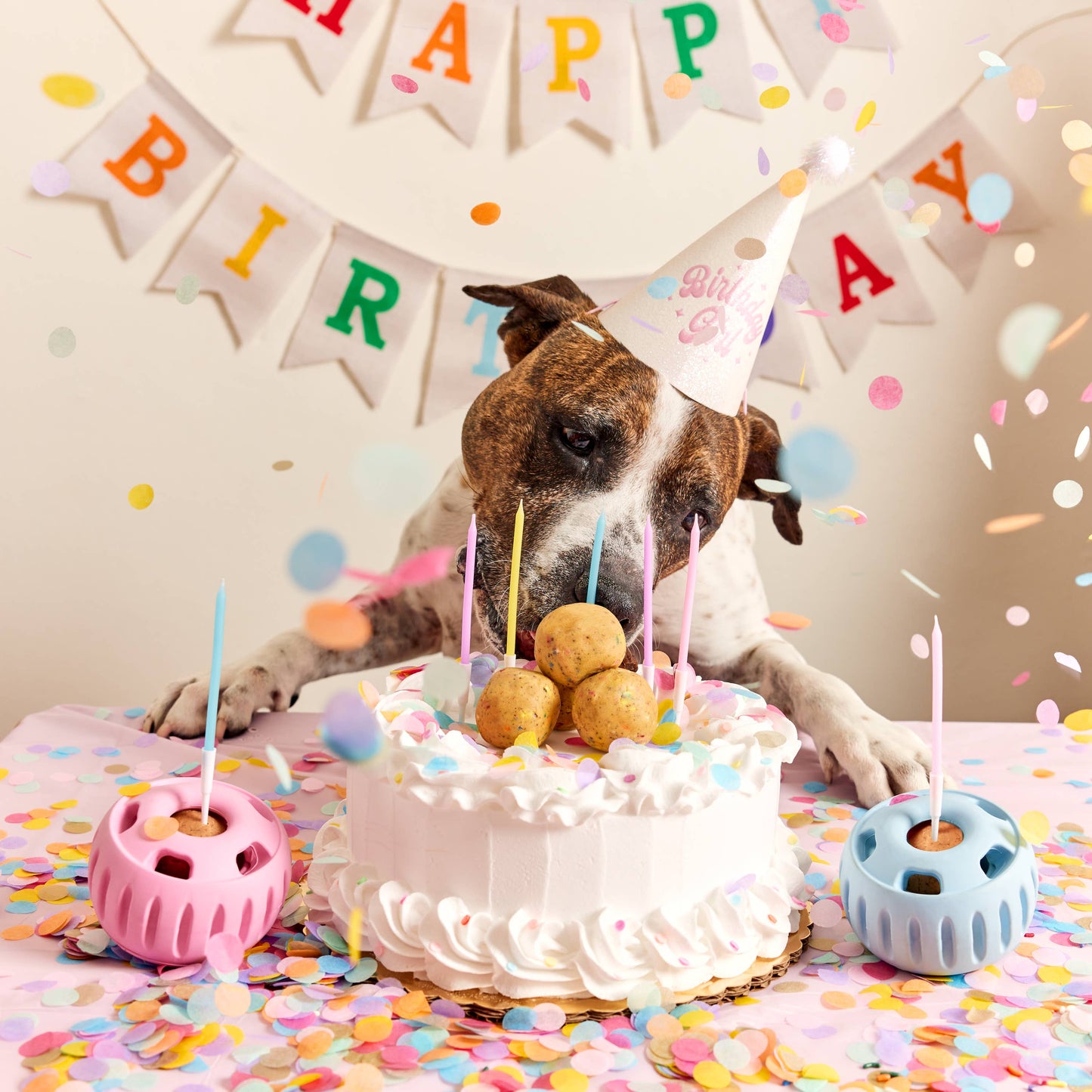 Party Pupsicle