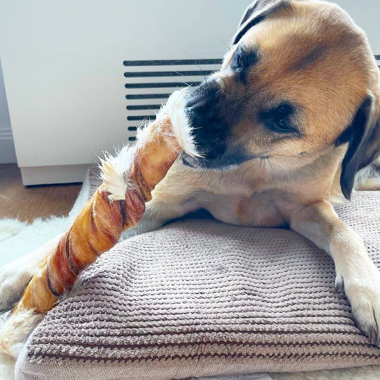 Rabbit Rawhides (Baguettes, Braids & Twists)