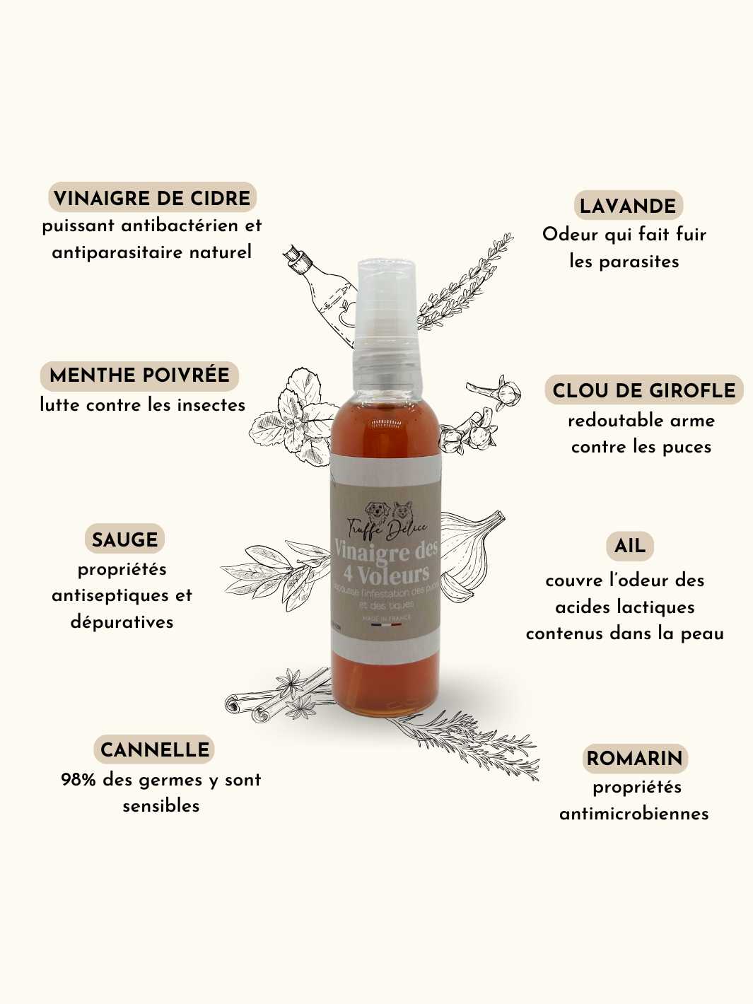Four Thieves Vinegar - Dog Antiparasitic