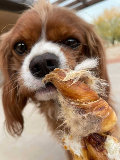 Rabbit Rawhides (Baguettes, Braids & Twists)