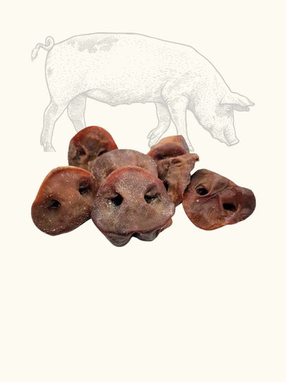 Pig's snout