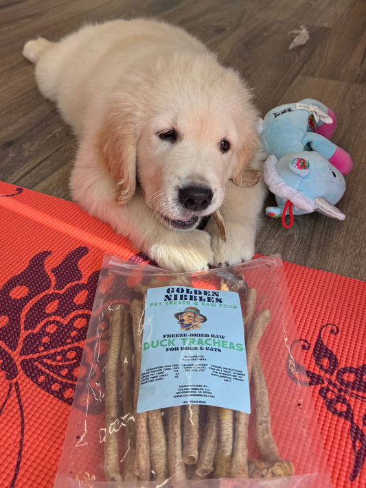 Duck Tracheas Bag -  Treats for Cats/Puppies/Small Dogs