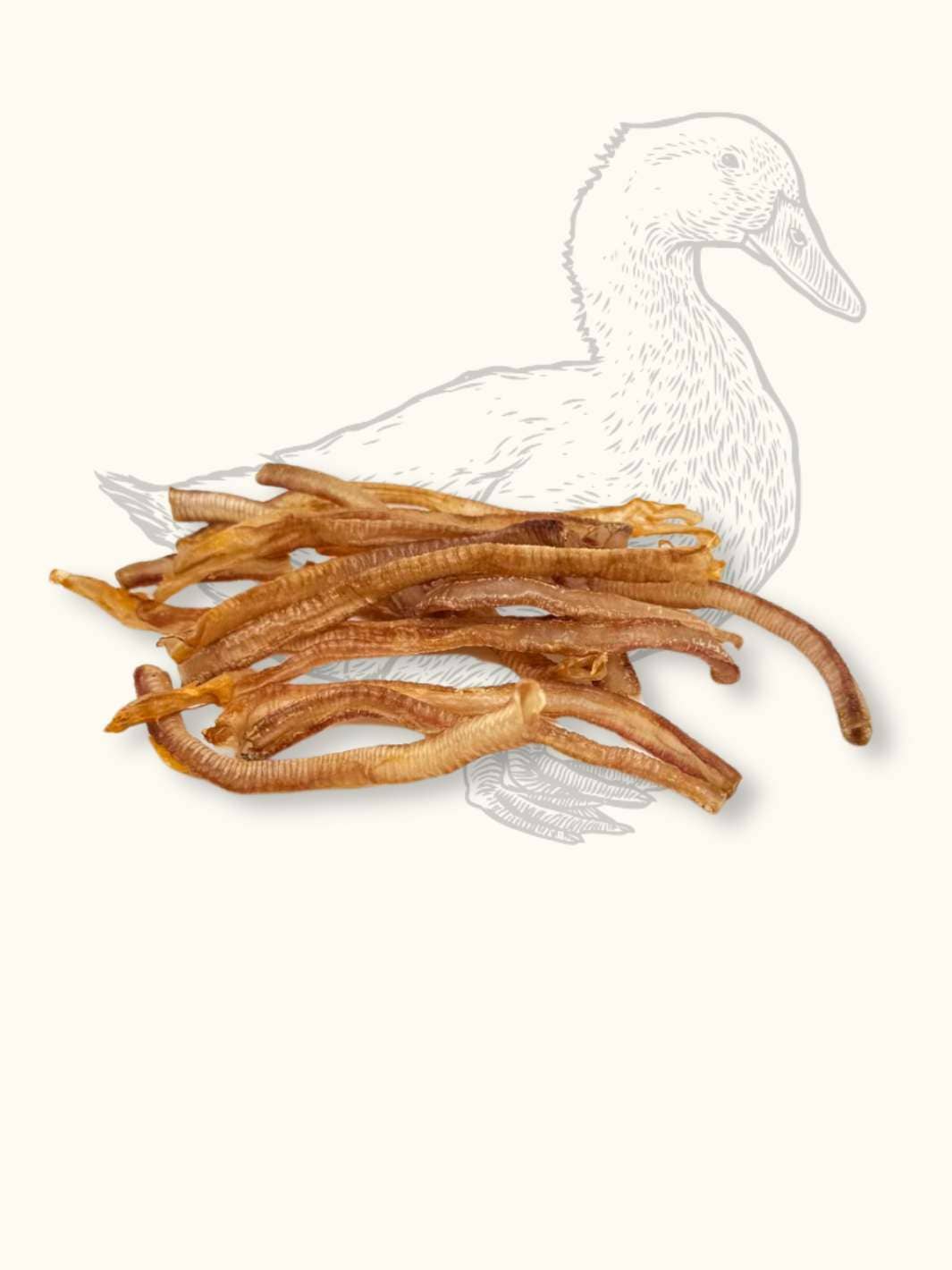 Duck tracheas