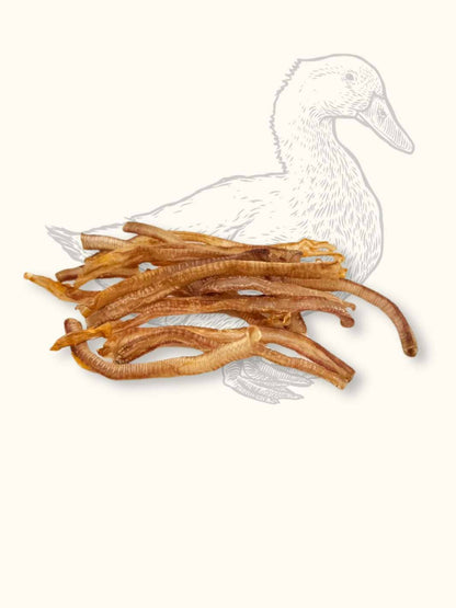 Duck tracheas
