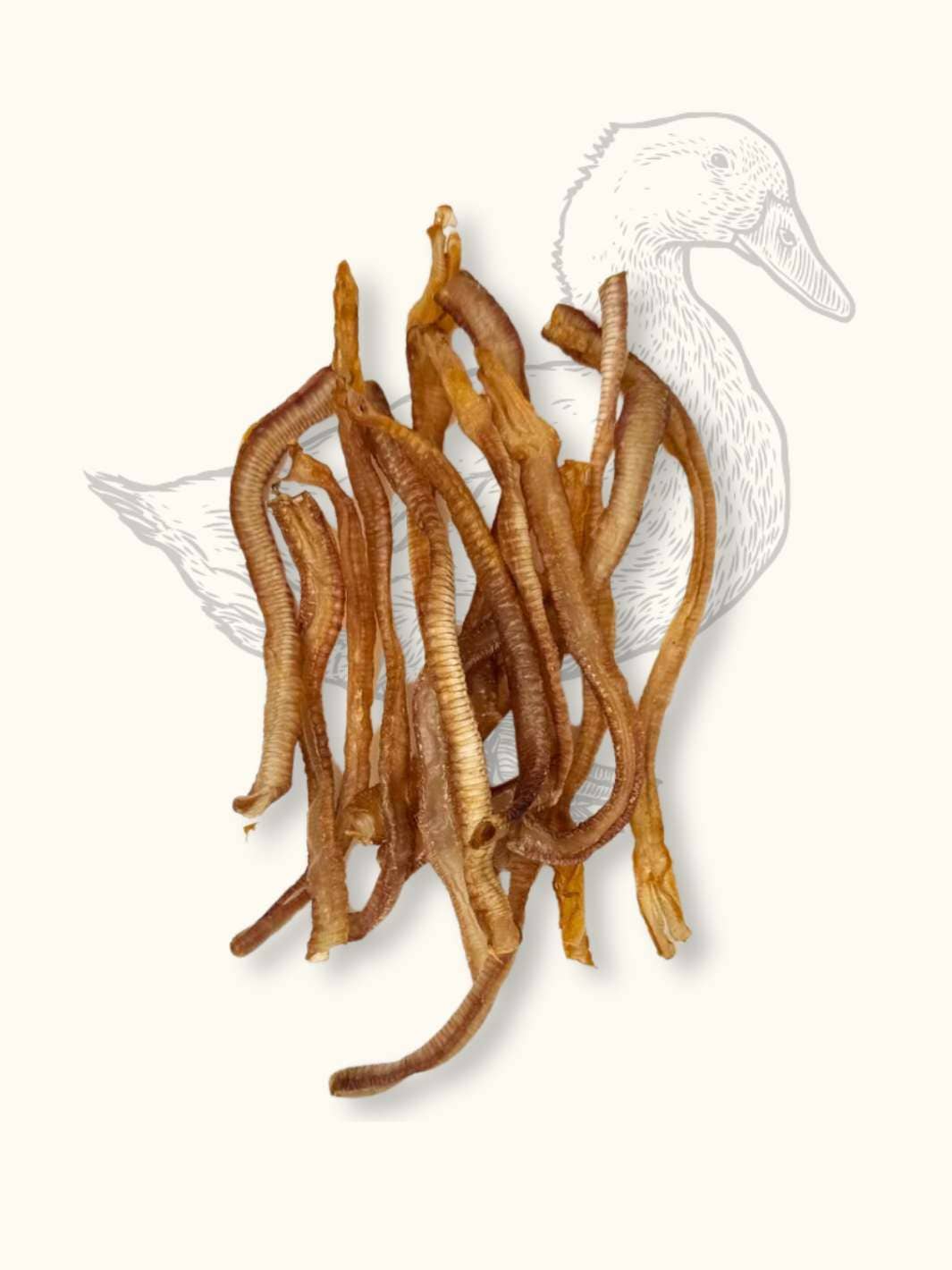 Duck tracheas