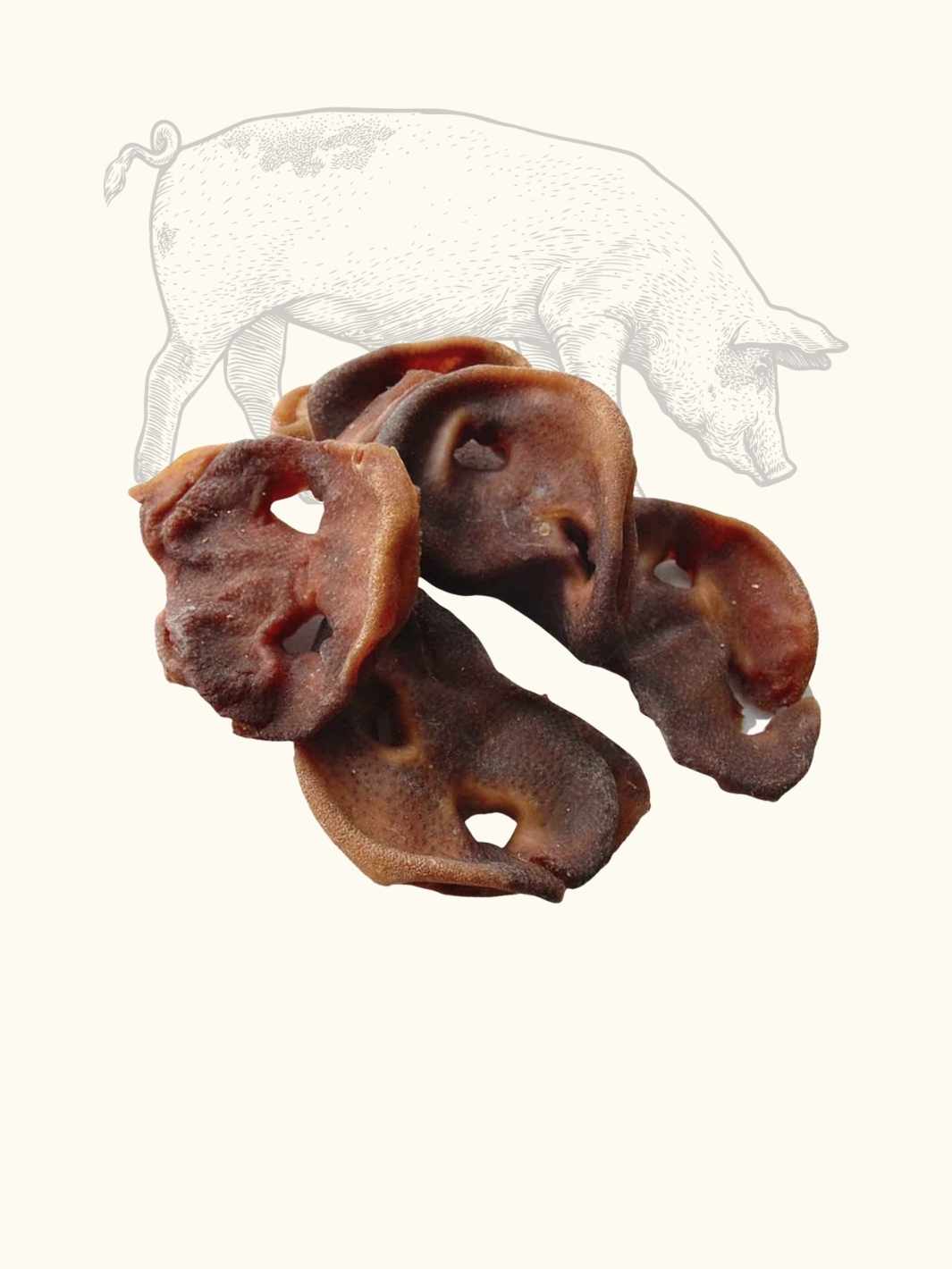 Pig's snout
