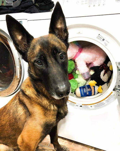 Pet Natural Laundry Detergent Basil - Niuniu's Pet Shop