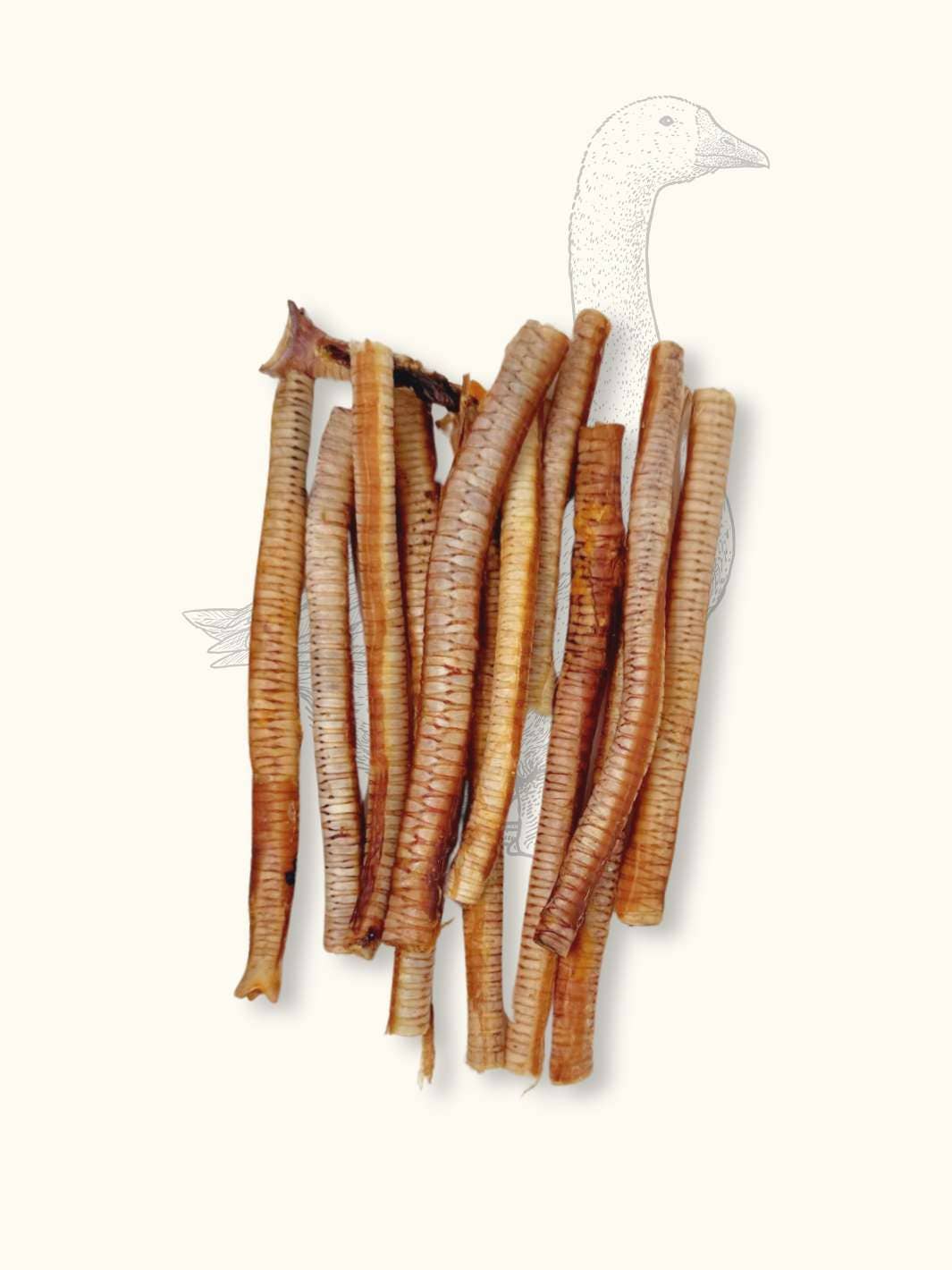 Goose tracheas