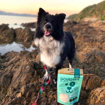 Gourmate Organic Green Lipped Mussels | 100% Mussel Treat - Niuniu's Pet Shop