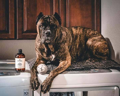 Pet Natural Laundry Detergent Lavender - Niuniu's Pet Shop