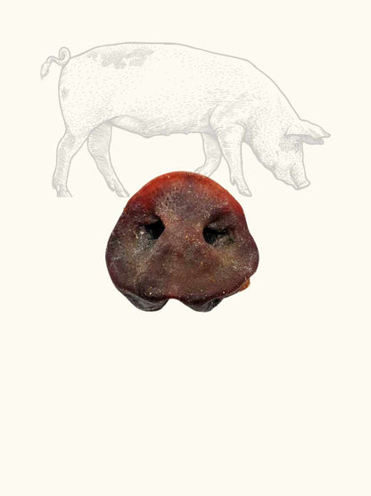 Pig's snout