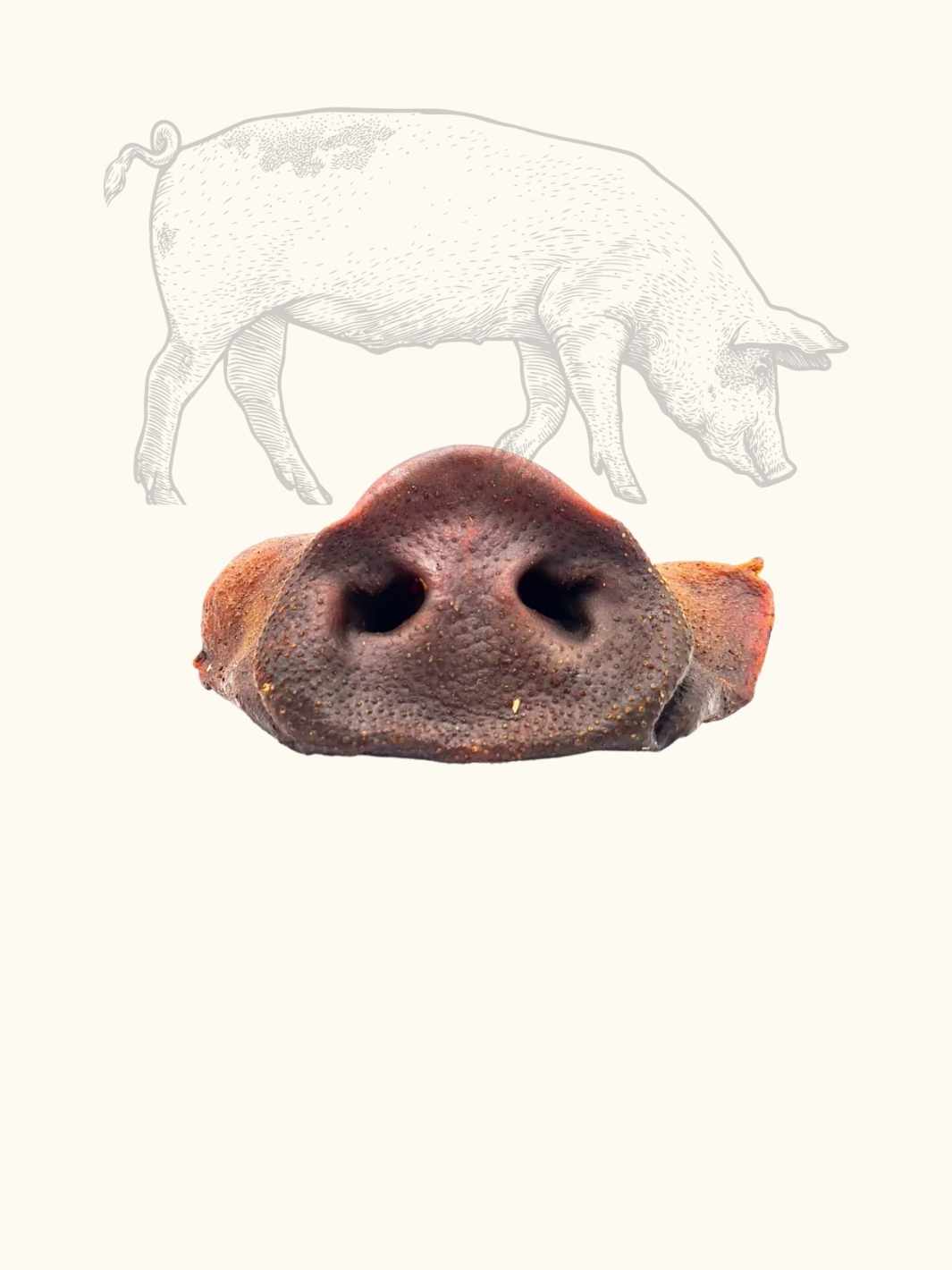 Pig's snout