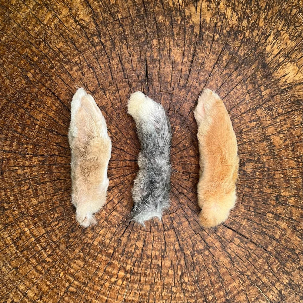Freeze Dried Rabbit Back Feet