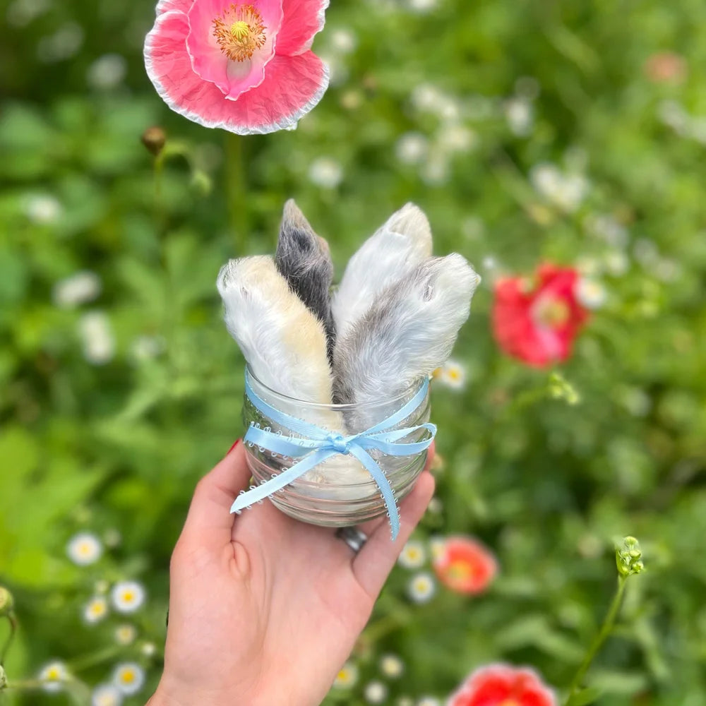Freeze Dried Rabbit Back Feet