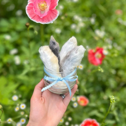 Freeze Dried Rabbit Back Feet